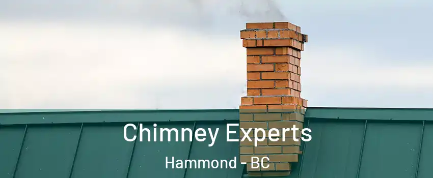 Chimney Experts Hammond - BC