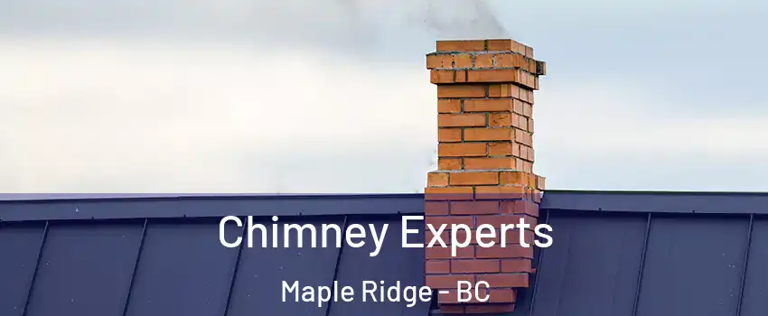 Chimney Experts Maple Ridge - BC