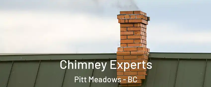 Chimney Experts Pitt Meadows - BC