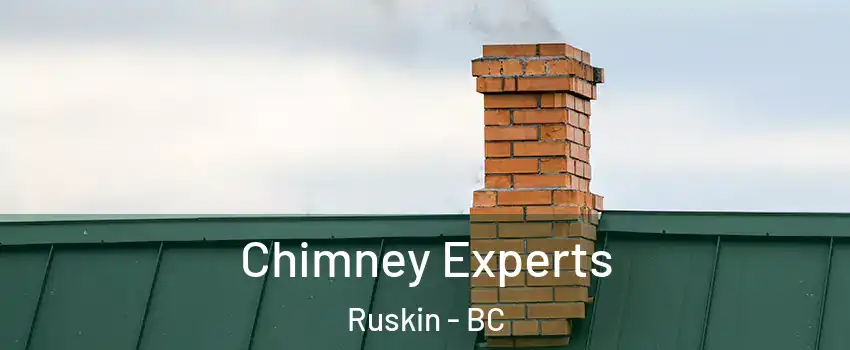 Chimney Experts Ruskin - BC