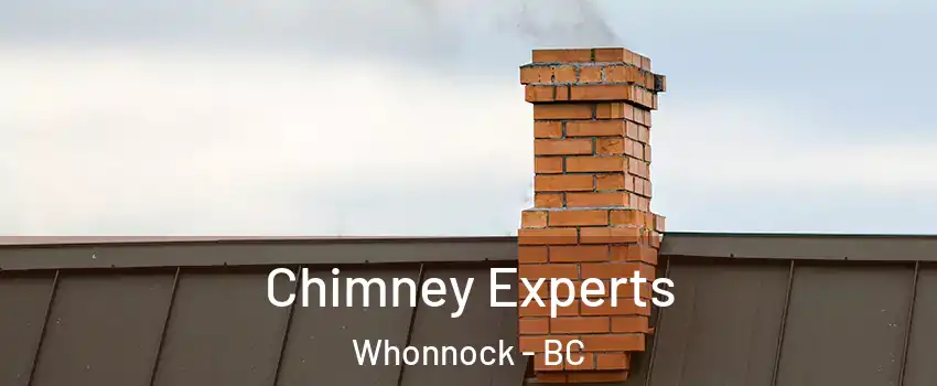 Chimney Experts Whonnock - BC