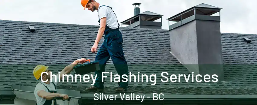 Chimney Flashing Services Silver Valley - BC