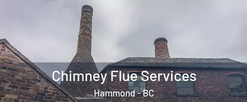  Chimney Flue Services Hammond - BC
