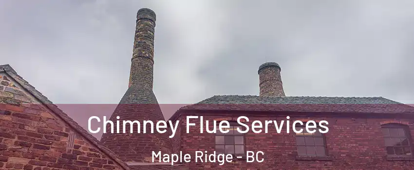  Chimney Flue Services Maple Ridge - BC