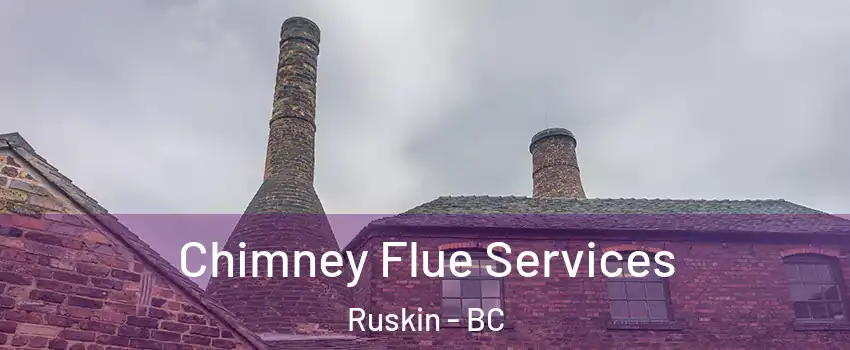  Chimney Flue Services Ruskin - BC