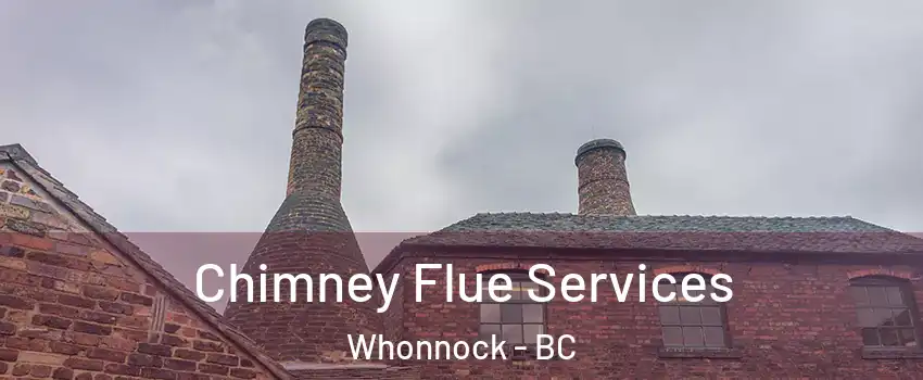  Chimney Flue Services Whonnock - BC
