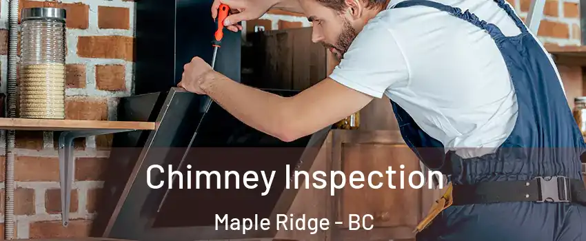  Chimney Inspection Maple Ridge - BC