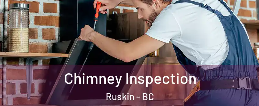  Chimney Inspection Ruskin - BC