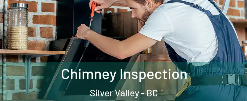  Chimney Inspection Silver Valley - BC