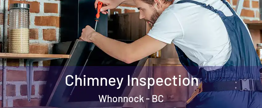  Chimney Inspection Whonnock - BC