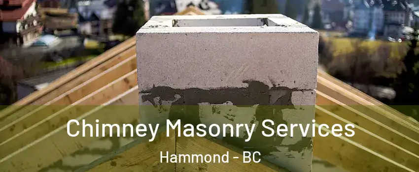  Chimney Masonry Services Hammond - BC