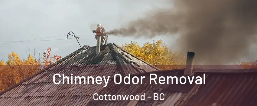  Chimney Odor Removal Cottonwood - BC