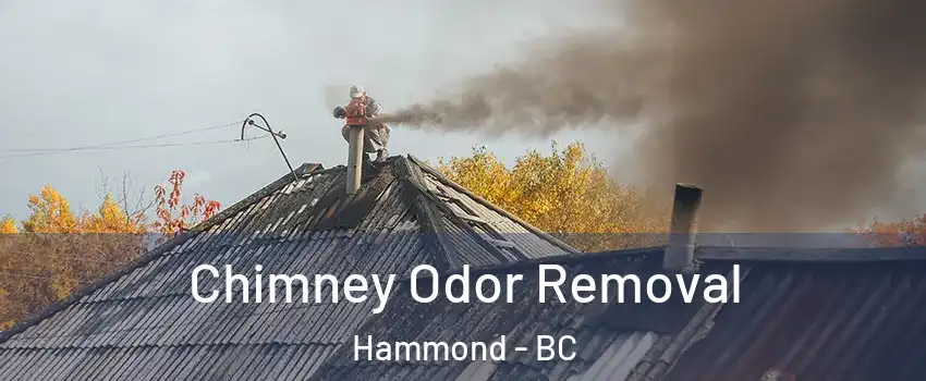  Chimney Odor Removal Hammond - BC