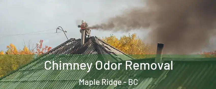  Chimney Odor Removal Maple Ridge - BC