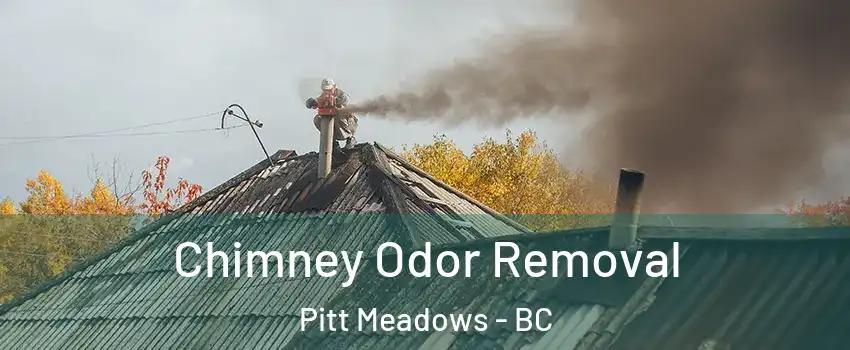  Chimney Odor Removal Pitt Meadows - BC