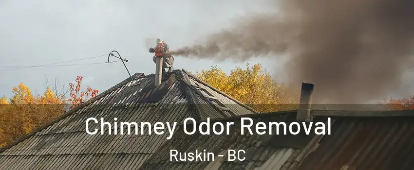  Chimney Odor Removal Ruskin - BC