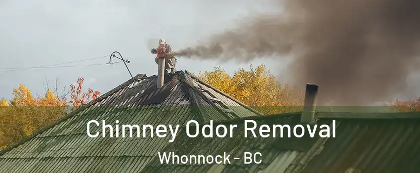  Chimney Odor Removal Whonnock - BC