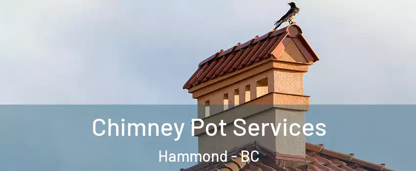  Chimney Pot Services Hammond - BC