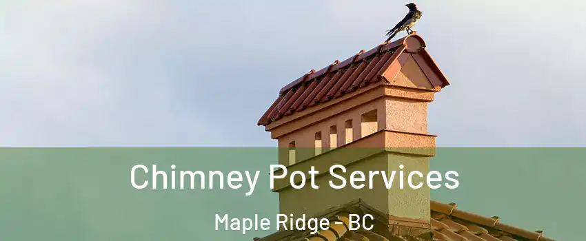  Chimney Pot Services Maple Ridge - BC