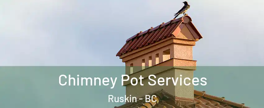  Chimney Pot Services Ruskin - BC