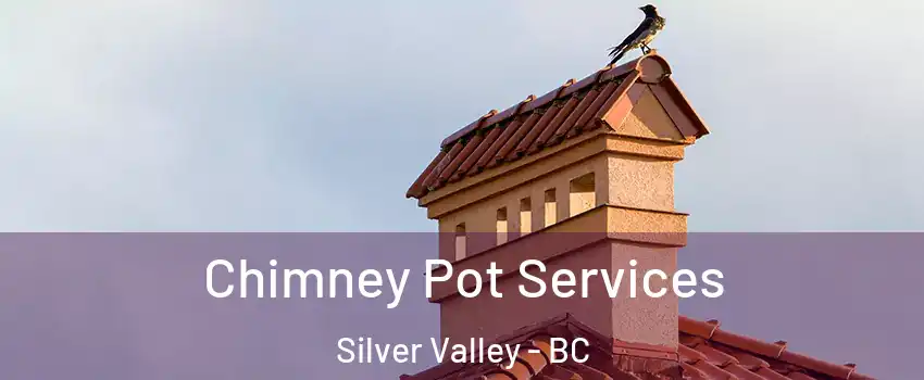  Chimney Pot Services Silver Valley - BC