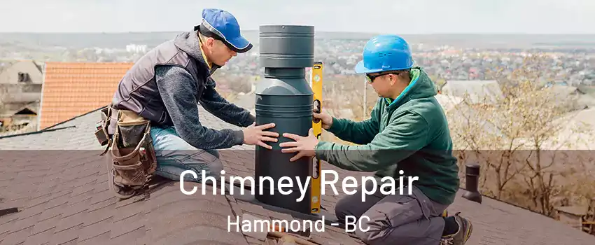  Chimney Repair Hammond - BC