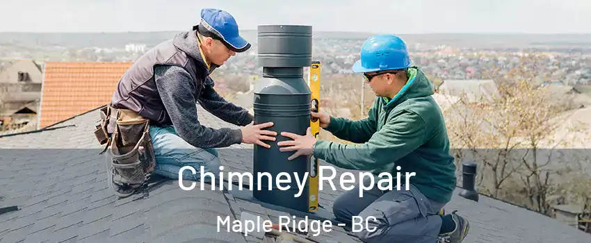  Chimney Repair Maple Ridge - BC