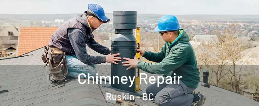  Chimney Repair Ruskin - BC