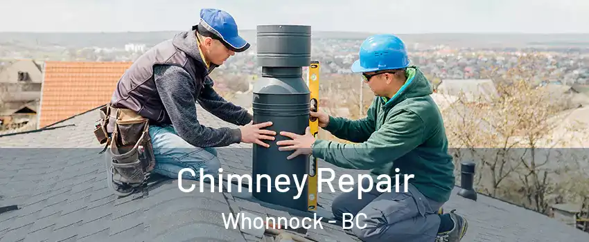  Chimney Repair Whonnock - BC