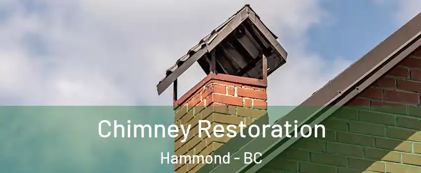  Chimney Restoration Hammond - BC