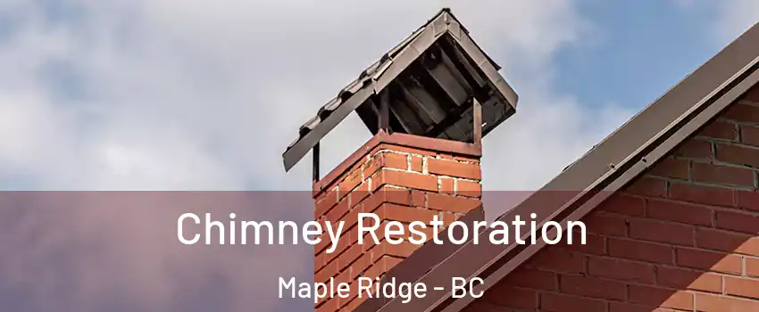  Chimney Restoration Maple Ridge - BC