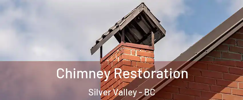  Chimney Restoration Silver Valley - BC