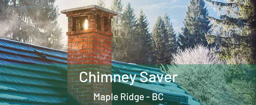  Chimney Saver Maple Ridge - BC