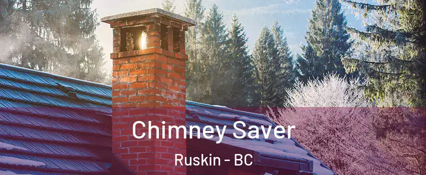 Chimney Saver Ruskin - BC