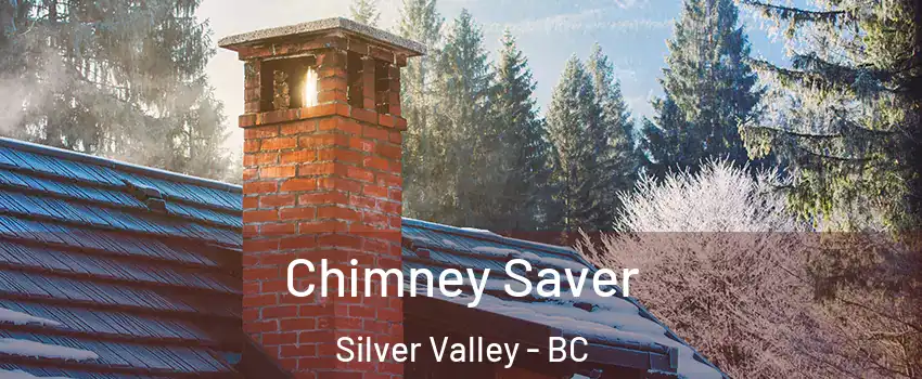  Chimney Saver Silver Valley - BC