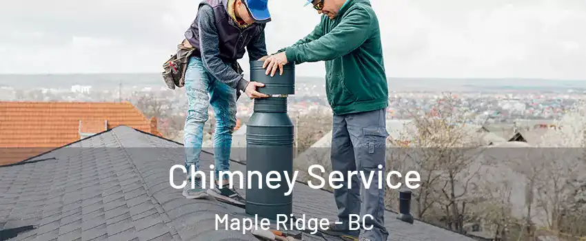  Chimney Service Maple Ridge - BC