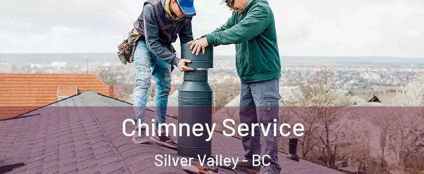  Chimney Service Silver Valley - BC