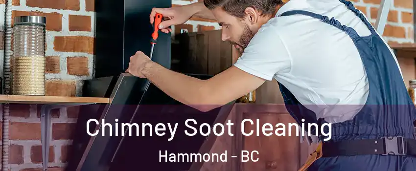  Chimney Soot Cleaning Hammond - BC