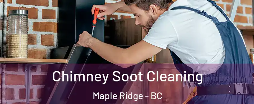  Chimney Soot Cleaning Maple Ridge - BC