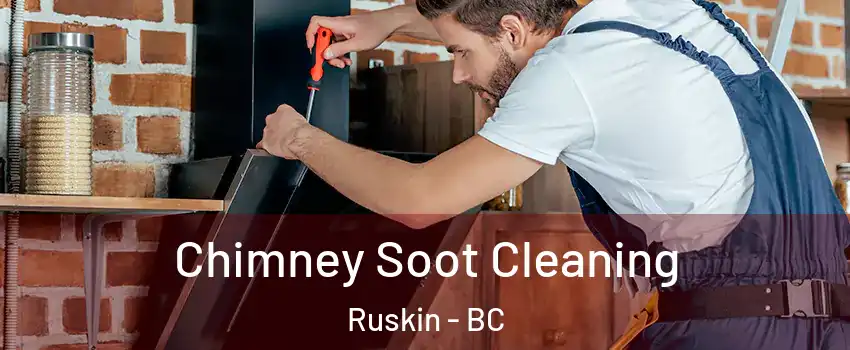  Chimney Soot Cleaning Ruskin - BC