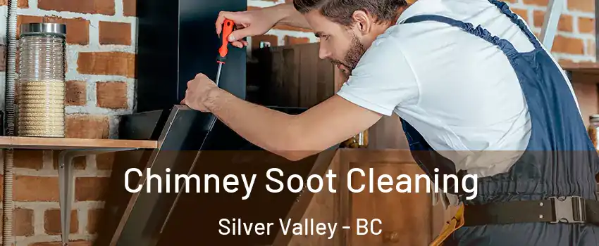  Chimney Soot Cleaning Silver Valley - BC