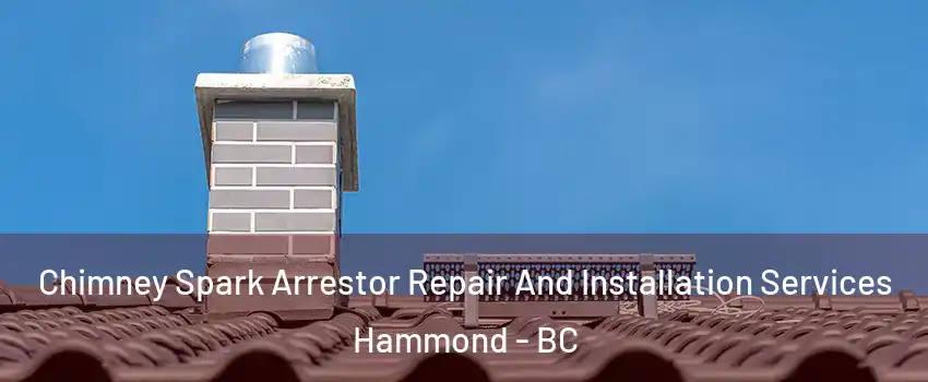  Chimney Spark Arrestor Repair And Installation Services Hammond - BC