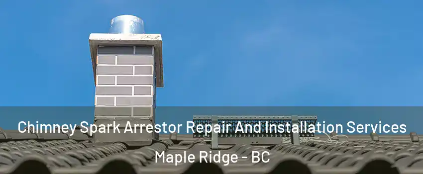  Chimney Spark Arrestor Repair And Installation Services Maple Ridge - BC