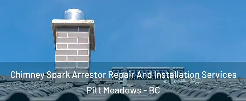  Chimney Spark Arrestor Repair And Installation Services Pitt Meadows - BC