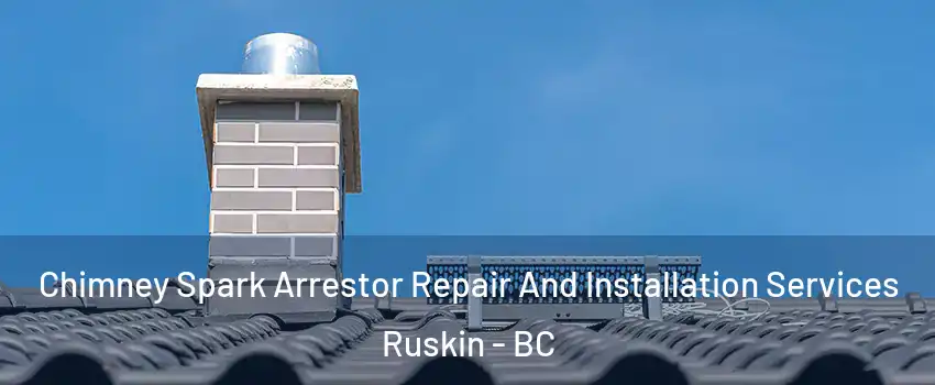  Chimney Spark Arrestor Repair And Installation Services Ruskin - BC