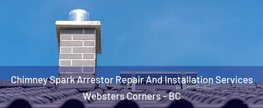  Chimney Spark Arrestor Repair And Installation Services Websters Corners - BC