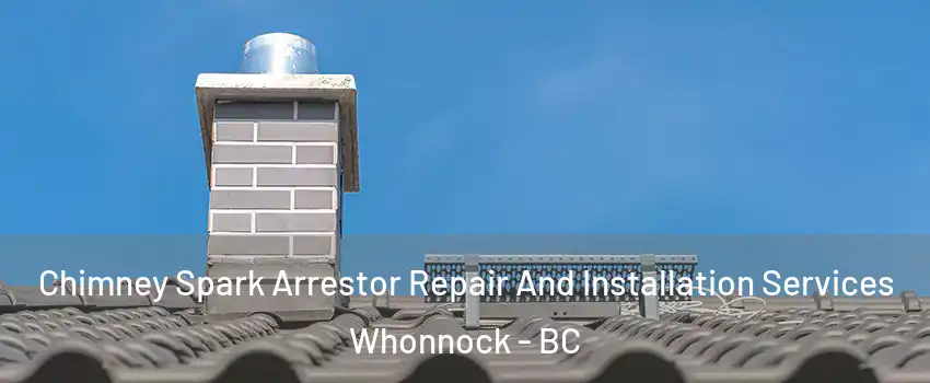  Chimney Spark Arrestor Repair And Installation Services Whonnock - BC