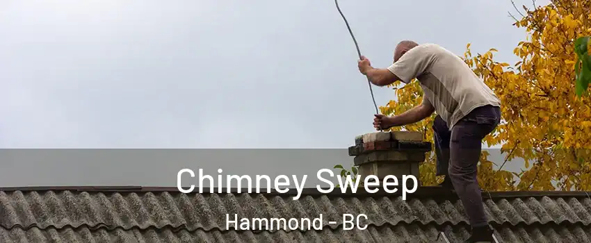  Chimney Sweep Hammond - BC