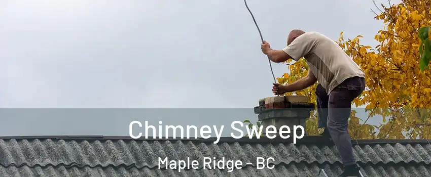  Chimney Sweep Maple Ridge - BC