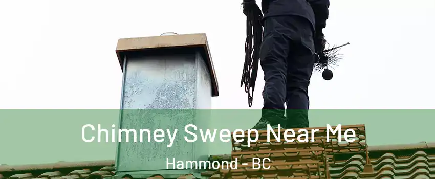  Chimney Sweep Near Me Hammond - BC